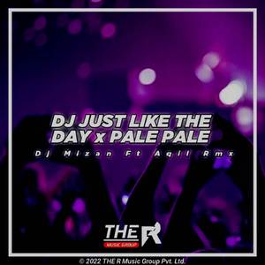 DJ Just Like The Day X Pale Pale (Remix)