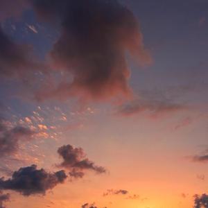 当夏过后，轻风吹过