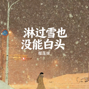淋过雪也没能白头