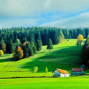 幻想和现实之间