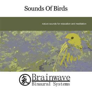 Sounds of Birds