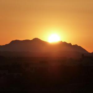 Bohemians Case (Moviescore)