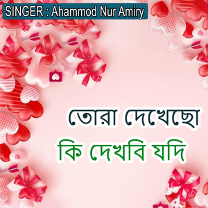 তোরা দেখেছো কি দেখবি যদি