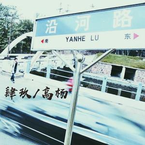 沿河南