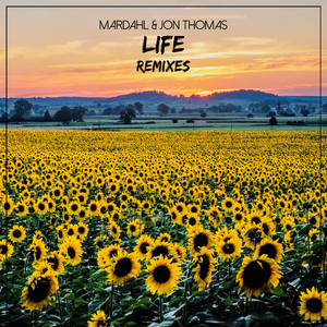 Life (We Are Free) [Amstyza Remix]