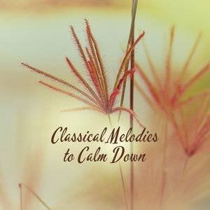 Flute Sonata in B Minor, BWV 1030: I. Andante