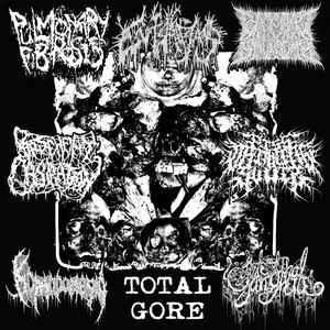 Encarnación de la Profanación