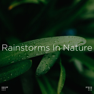 불안 완화