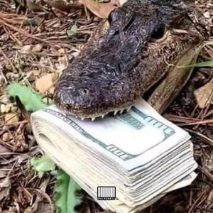 anna (feat. pyroshenn)