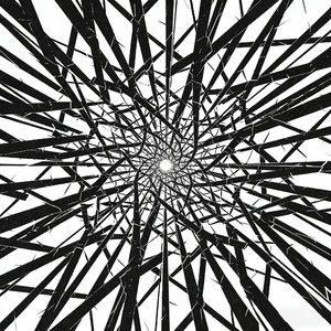 偏执狂（prod.SKY)