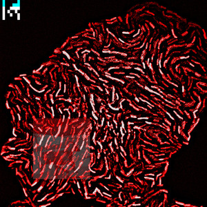 What if the dead dream (Quentin Sirjacq Remix)