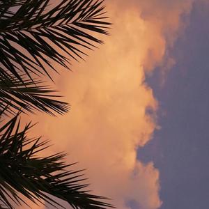 世间美好与你环环相扣