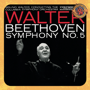 Symphony No. 5 in C Minor, Op. 67:II. Andante con moto