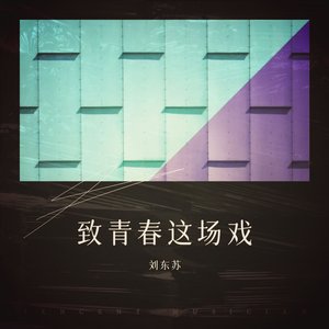 队长-还会再见吗 燕子（刘东苏 remix）