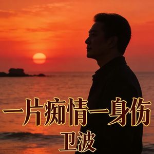 一片痴情一身伤