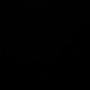 Everything K (feat. Swervo, YtnDee & YtnZay)