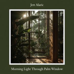 Morning Light Through Palm Window