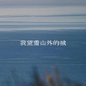我望着山外的城