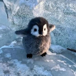 Soul Creation (sped up)