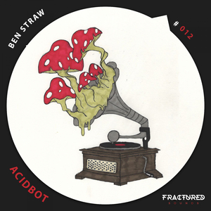 Acidbot (Original Mix)