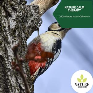 Peaceful Woodland View