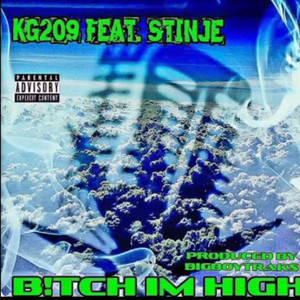 Bitch Im High