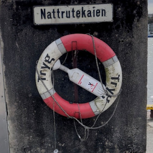 Stordsongen