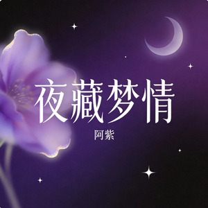 夜藏梦情