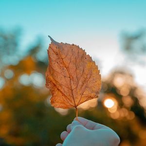 《E8r钢琴曲》秋天