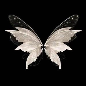 【BEAT】''蝴蝶''