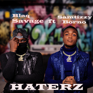 Haterz