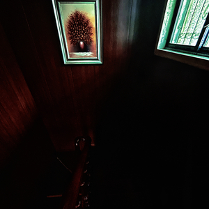 Phonograph after rain.（雨后留声机）