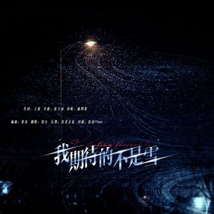 我期待的不是雪【男版】