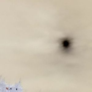 demo#20230110_160449