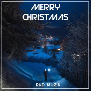 Merry Christmas EDM