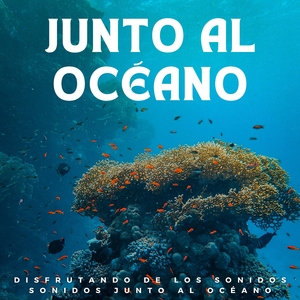 Resultado De La Paz Interior