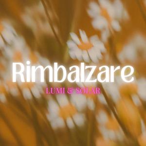 Rimbalzare