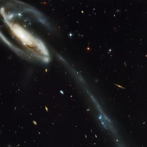 他不爱我 莫文蔚