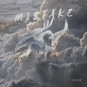 MISTAKE（Miss Take）