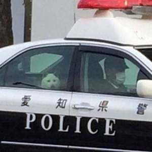 与你的爱是浪费是原罪 (prod.by 罗老师)