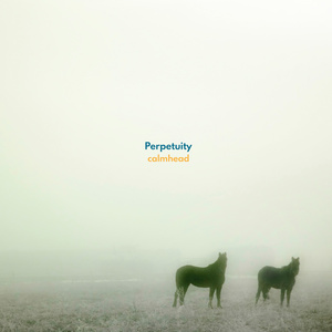 Perpetuity