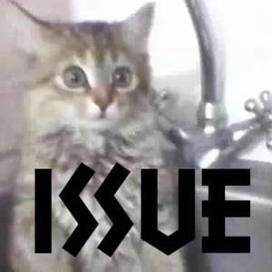 Issue (feat. Bomei)