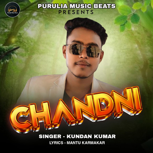 Chandni