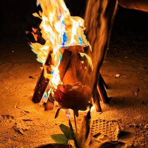 凌晨三点的未读消息