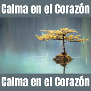 Paz y Vida