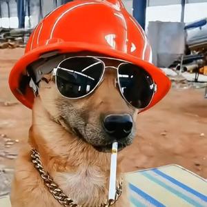 DJ魏小彬为彭哥精心打造车载串烧（dj魏小彬 remix）