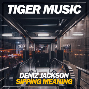 Sipping Meaning (Steve Montana Remix)