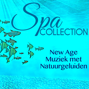 Reaching Nirvana (Relax)