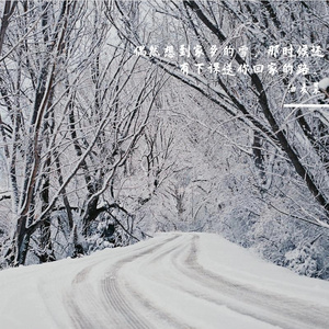 月光下的雪