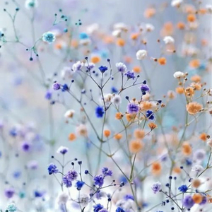 jandy李俊秀-我好喜欢你(Remix) （jandy李俊秀 remix）